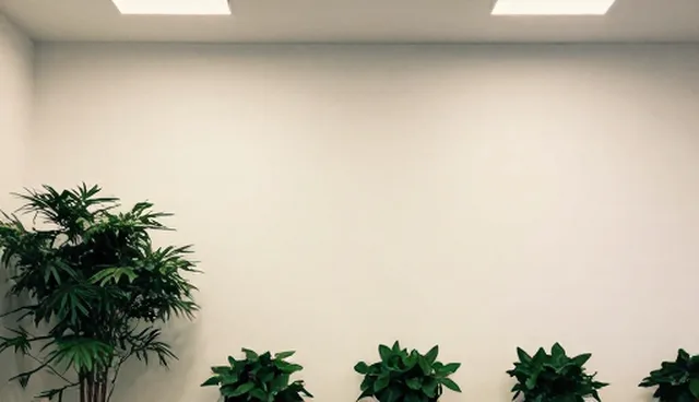 产品推广中的误区澄清与业务发展趋势